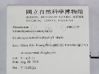 登錄號:F0023239藏品圖，第2張