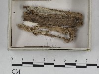 登錄號:F0023239藏品圖，第1張