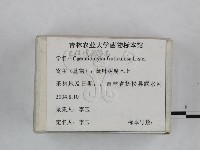 登錄號:F0023239藏品圖，第3張