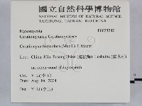 登錄號:F0023240藏品圖，第2張