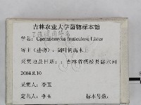 登錄號:F0023240藏品圖，第3張