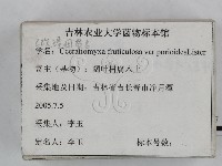 登錄號:F0023241藏品圖，第3張