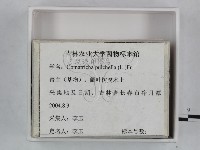 登錄號:F0023242藏品圖，第3張