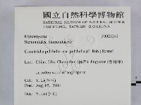 登錄號:F0023243藏品圖，第2張