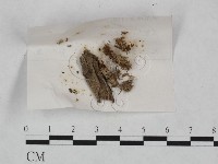 登錄號:F0023243藏品圖，第1張