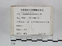 登錄號:F0023243藏品圖，第3張