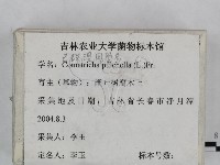 登錄號:F0023244藏品圖，第3張