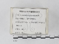 登錄號:F0023245藏品圖，第2張