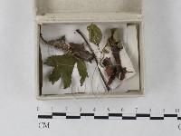 登錄號:F0023245藏品圖，第1張