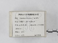登錄號:F0023246藏品圖，第2張