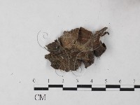 登錄號:F0023246藏品圖，第3張