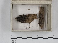 登錄號:F0023247藏品圖，第3張