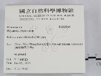 登錄號:F0023248藏品圖，第2張