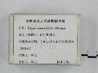 登錄號:F0023248藏品圖，第1張