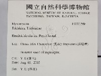 登錄號:F0023249藏品圖，第2張