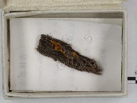 登錄號:F0023251藏品圖，第3張