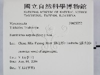 登錄號:F0023252藏品圖，第2張