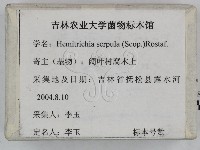 登錄號:F0023252藏品圖，第1張