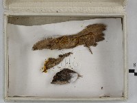登錄號:F0023252藏品圖，第3張