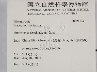 登錄號:F0023253藏品圖，第2張