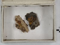 登錄號:F0023253藏品圖，第3張