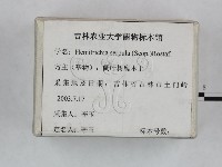登錄號:F0023254藏品圖，第1張
