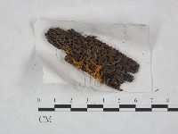 登錄號:F0023254藏品圖，第3張