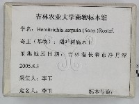 登錄號:F0023255藏品圖，第1張