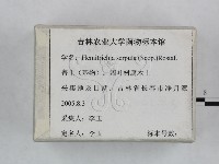 登錄號:F0023256藏品圖，第1張