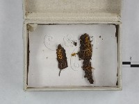 登錄號:F0023256藏品圖，第3張