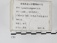 登錄號:F0023257藏品圖，第2張