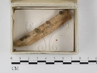登錄號:F0023257藏品圖，第1張