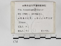 登錄號:F0023258藏品圖，第2張