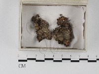 登錄號:F0023258藏品圖，第1張