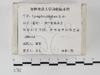 登錄號:F0023259藏品圖，第2張
