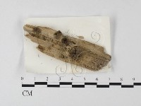登錄號:F0023259藏品圖，第1張