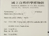 登錄號:F0023260藏品圖，第2張