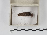 登錄號:F0023262藏品圖，第1張