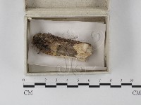 登錄號:F0023264藏品圖，第1張