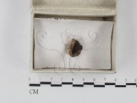 登錄號:F0023265藏品圖，第1張