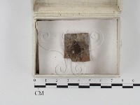 登錄號:F0023267藏品圖，第1張