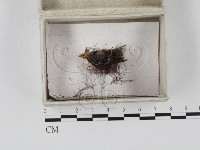 登錄號:F0023269藏品圖，第1張