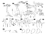 登錄號:F0023270藏品圖，第5張