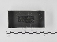 登錄號:F0023271藏品圖，第1張