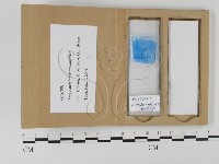 登錄號:F0023271藏品圖，第4張