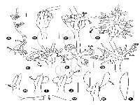 登錄號:F0023271藏品圖，第5張