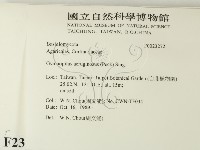 登錄號:F0023272藏品圖，第2張