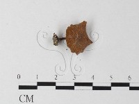 登錄號:F0023272藏品圖，第3張