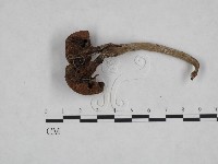 登錄號:F0023273藏品圖，第3張