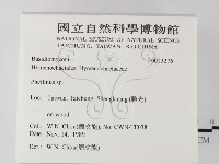 木層孔菌屬藏品圖，第2張